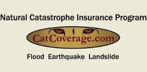 Cat Coverage logo